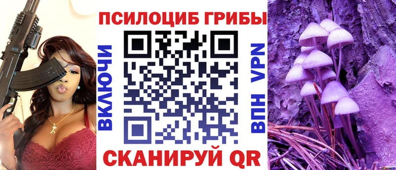 Купить закладки  Данков  Галлюциногенные грибы MAGIC MUSHROOMS 